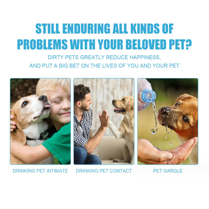 Edible Fresh Toothpaste for Cats and Dogs Oral Care