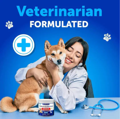 Probiotic Chews for Dog's Health