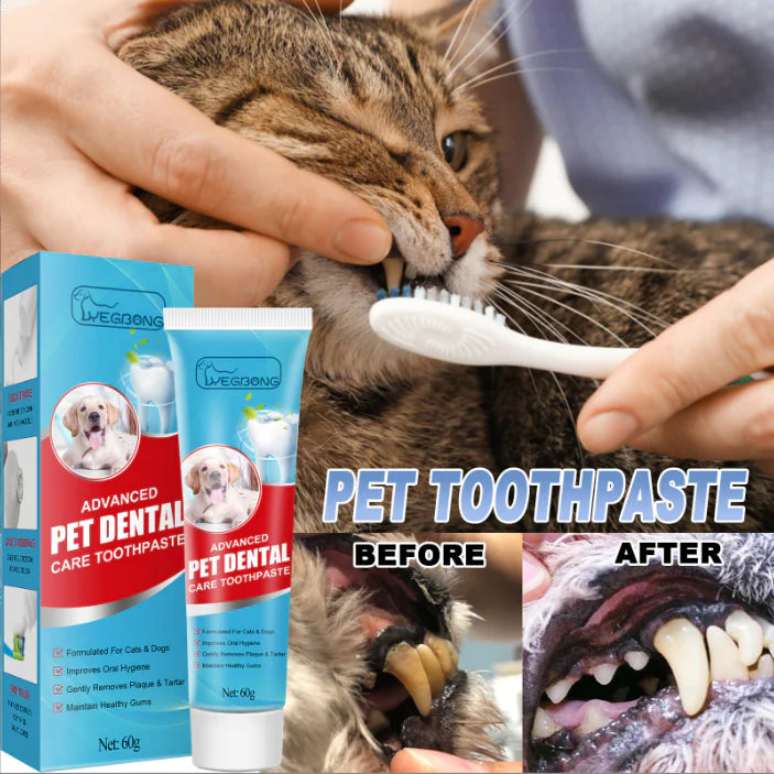Edible Fresh Toothpaste for Cats and Dogs Oral Care – Paws and Wings ...