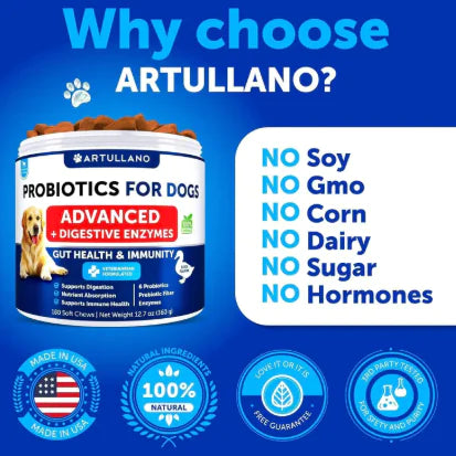 Probiotic Chews for Dog's Health