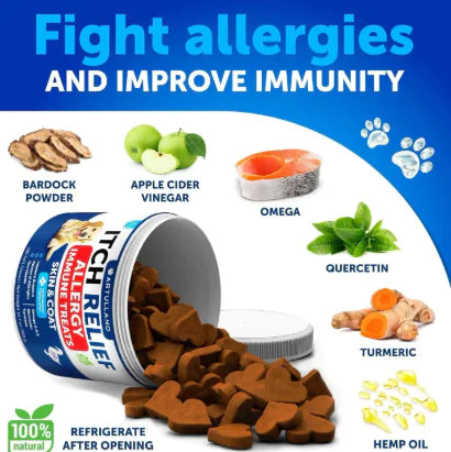 Probiotic Chews for Dog's Health