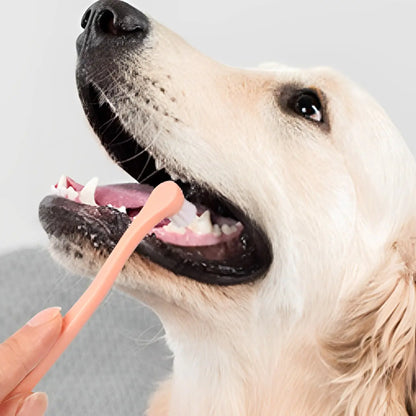 Dog and Cat Toothbrush for Oral Care Supplies - Quantity of 1