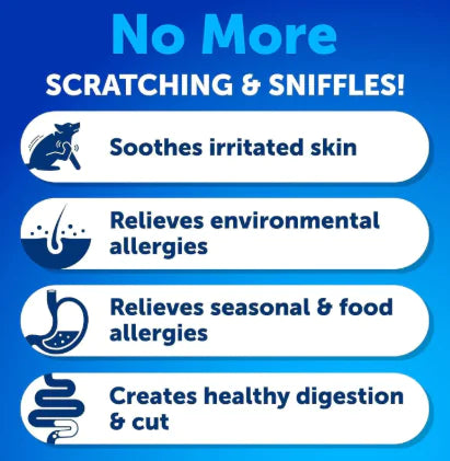 Probiotic Chews for Dog's Health